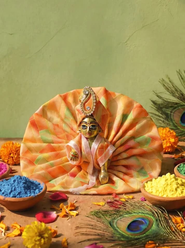 Rang Ras Kanha Ji Ki Poshak Dress