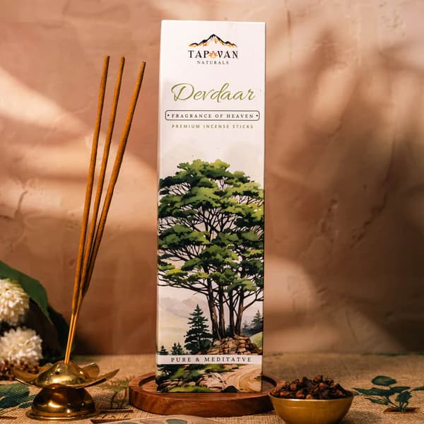 Cedar Incense Sticks | Agarbatti - Devdaar