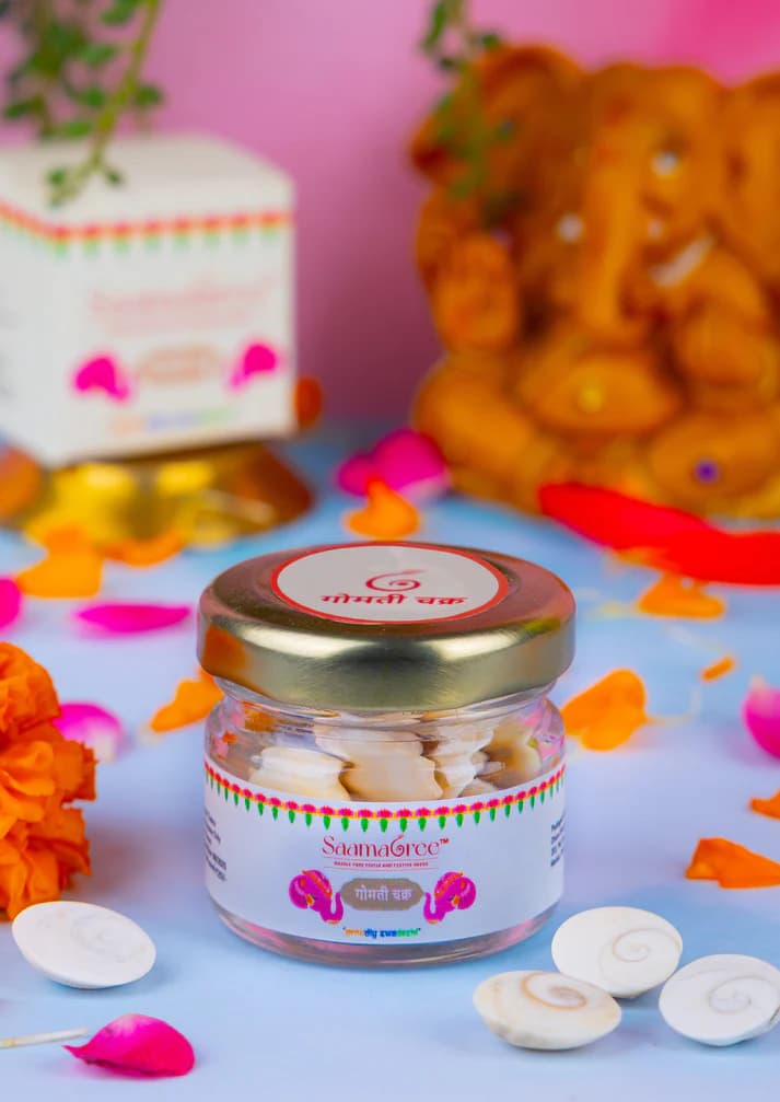Gomti Chakra ( Pack of 2 )